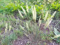 IMG_20220519_193118.webp