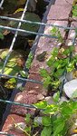 20220521_164837.jpg