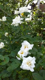 20220521_164653.webp