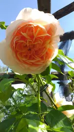 20220521_164514.webp