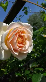 20220521_164455.webp
