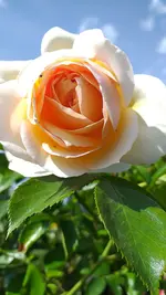 20220521_164431.webp