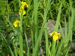 DSC02400.JPG