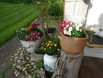 DSC02403.JPG