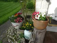 DSC02403.JPG