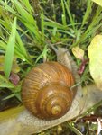 IMG_20220520_090757.jpg