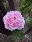 IMG_20220521_205430.jpg