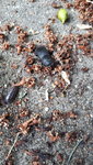 IMG-20220521-WA0008.jpeg