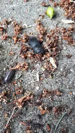 IMG-20220521-WA0008.webp