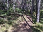 PXL_20220522_080619347.jpg