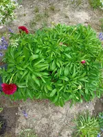 IMG20220510161301.webp