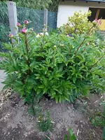 IMG20220522204019.webp