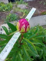 IMG20220522204324.webp