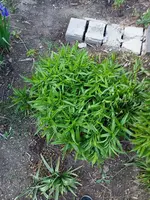 IMG20220522205103.webp