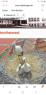 Screenshot_20220522-113815_Samsung Internet.webp