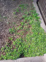 IMG20220504100646.webp IMG20220504100646.webp