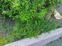 IMG20220504100653.webp IMG20220504100653.webp