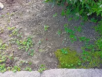 IMG20220504100656.webp IMG20220504100656.webp