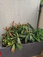 IMG_20220522_193308.webp