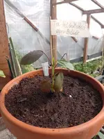 IMG_20220522_162636.webp IMG_20220522_162636.webp