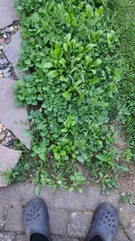 20220522_201405.webp