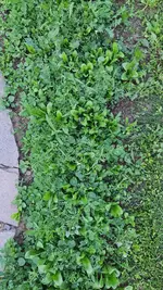 20220522_201454.webp