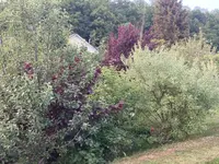 IMG_0813(1).webp