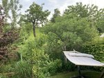 IMG_0816.JPG