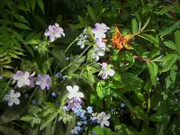 DSCF2936 (3).webp