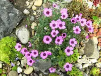 DSCF2926 (2).webp