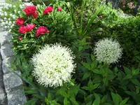 DSCF2930 (2).webp