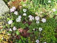 DSCF2925 (2).webp