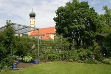 Mai   1422.webp