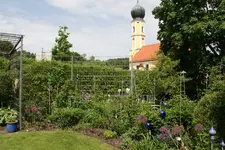 Mai   1622.webp