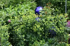 Mai   2122.webp