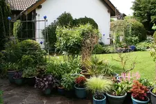 Terasse       1722.webp