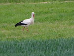 DSC02404.JPG