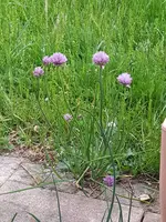20220523_205346.webp