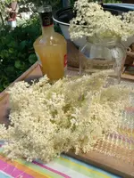 IMG_20220522_140142.webp