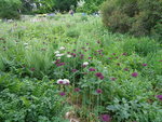 DSC00028.JPG