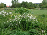 DSC00035.JPG