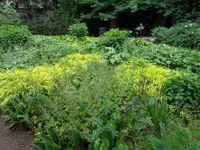 DSC00036.webp