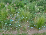 DSC00041.JPG