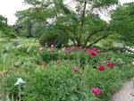 DSC00042.JPG