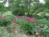 DSC00043.webp