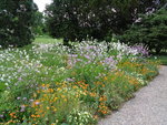 DSC00045.JPG