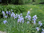 DSC00046.JPG