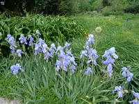 DSC00046.webp