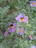 DSC00049.webp