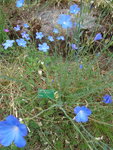 DSC00053.JPG